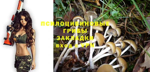 бошки Бронницы