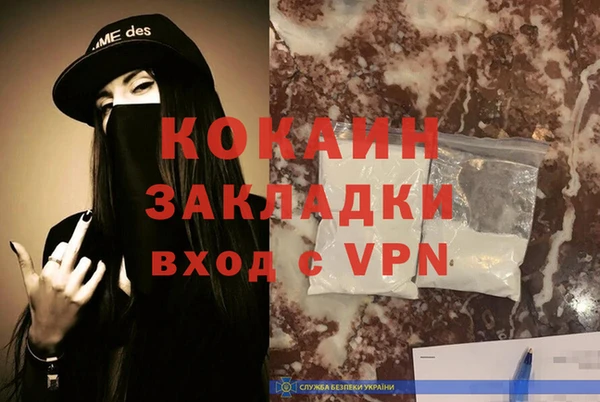 бошки Бронницы
