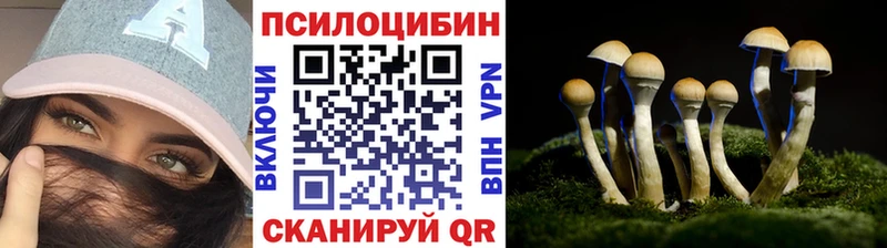 Псилоцибиновые грибы MAGIC MUSHROOMS  даркнет клад  Армавир 